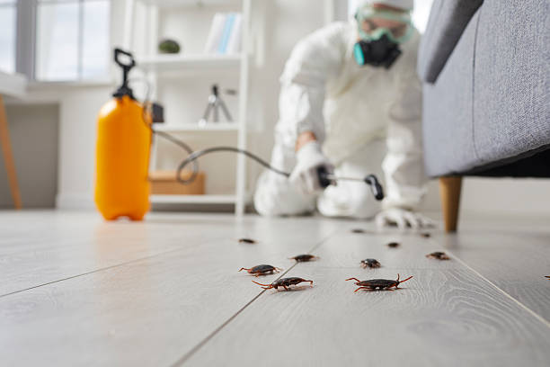 Commercial Kitchen Cockroach Control in Marceline